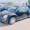 Beetle
