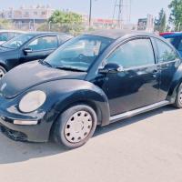 Beetle