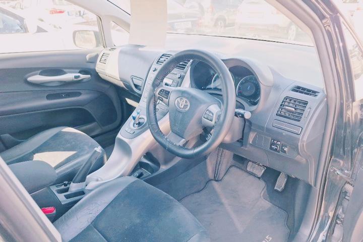 Auris