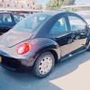 Beetle